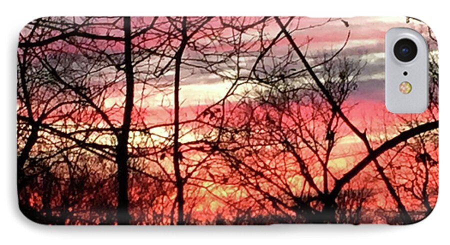 Sunset Through The Trees 2 - Phone Case