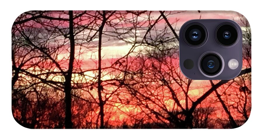 Sunset Through The Trees 2 - Phone Case