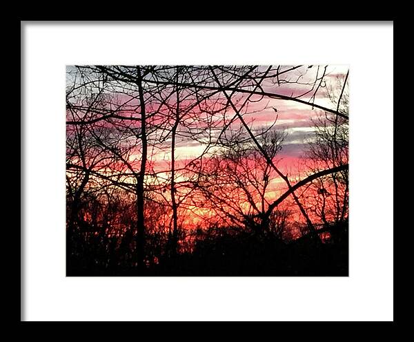 Sunset Through The Trees 2 - Framed Print