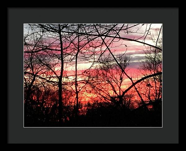 Sunset Through The Trees 2 - Framed Print