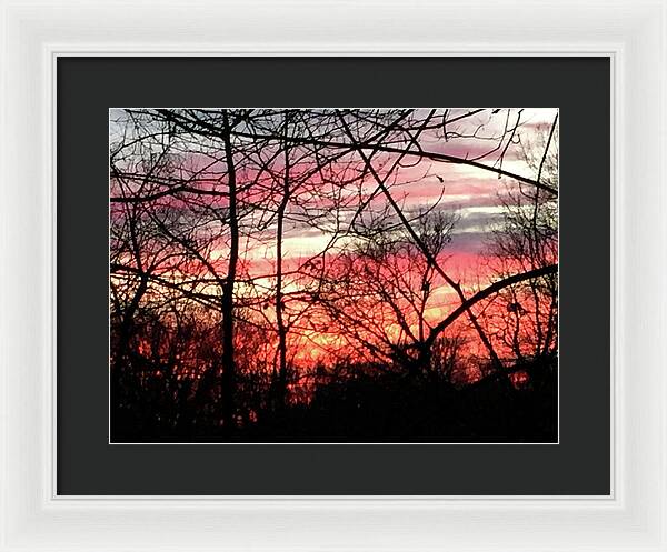 Sunset Through The Trees 2 - Framed Print