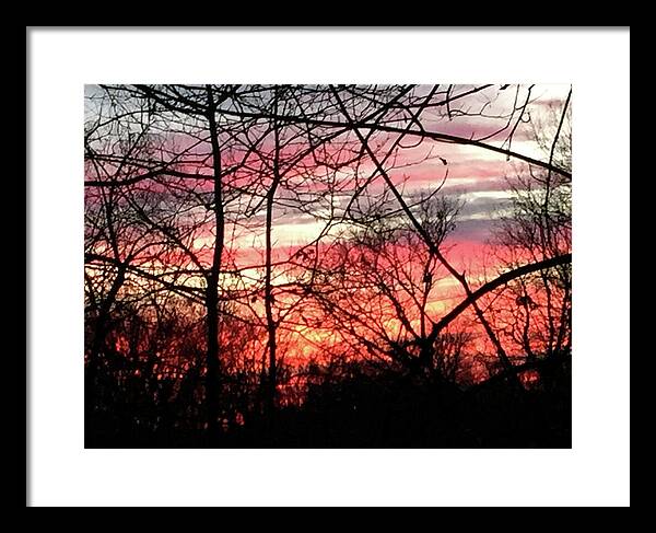 Sunset Through The Trees 2 - Framed Print