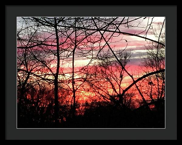 Sunset Through The Trees 2 - Framed Print