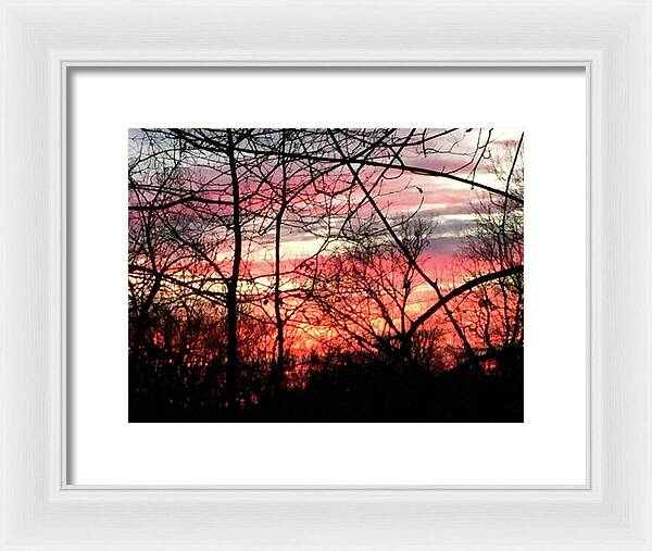 Sunset Through The Trees 2 - Framed Print