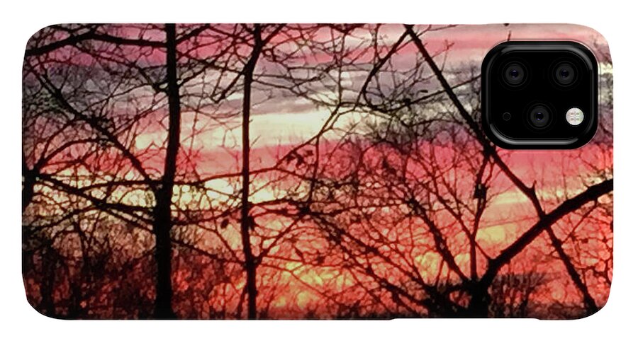 Sunset Through The Trees 2 - Phone Case