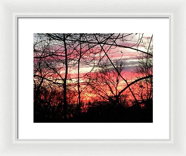 Sunset Through The Trees 2 - Framed Print