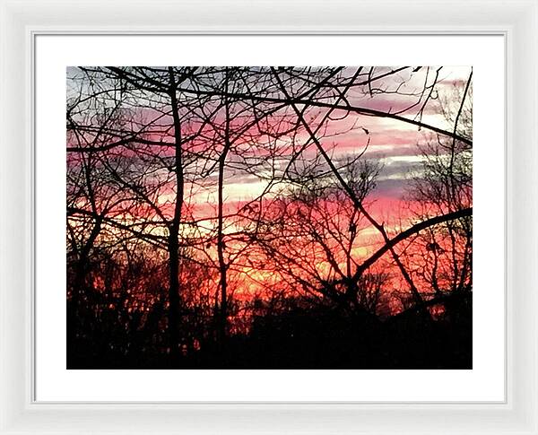 Sunset Through The Trees 2 - Framed Print