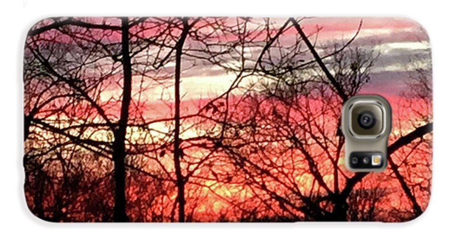 Sunset Through The Trees 2 - Phone Case