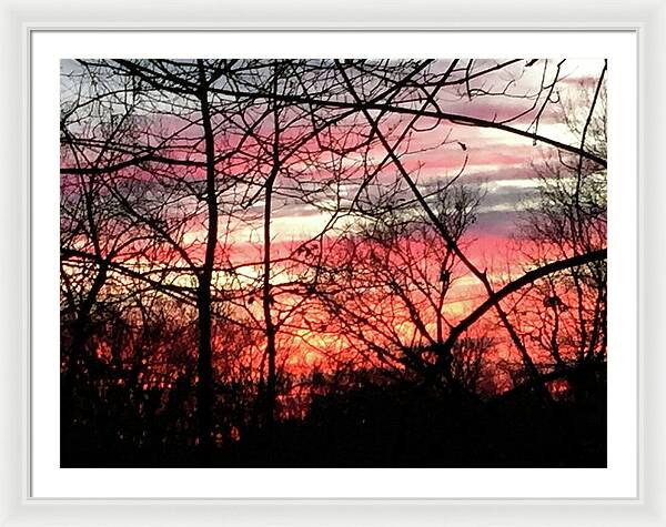 Sunset Through The Trees 2 - Framed Print