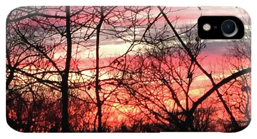 Sunset Through The Trees 2 - Phone Case