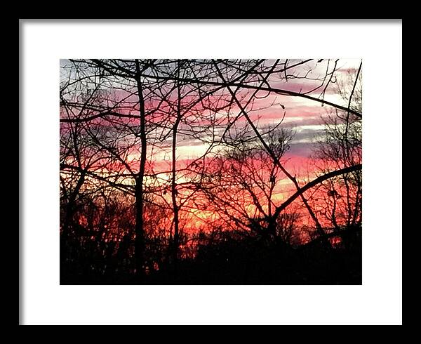 Sunset Through The Trees 2 - Framed Print