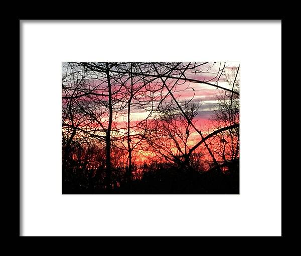 Sunset Through The Trees 2 - Framed Print