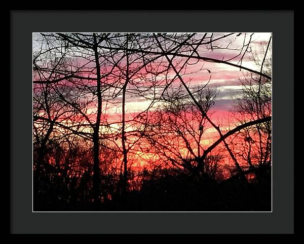 Sunset Through The Trees 2 - Framed Print