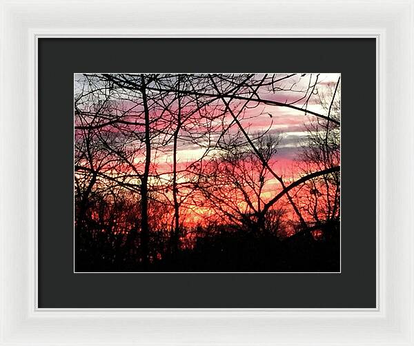 Sunset Through The Trees 2 - Framed Print