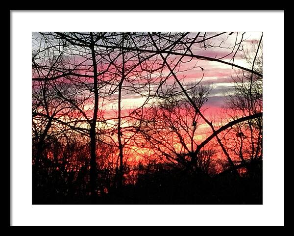 Sunset Through The Trees 2 - Framed Print