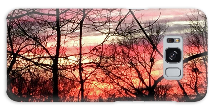 Sunset Through The Trees 2 - Phone Case