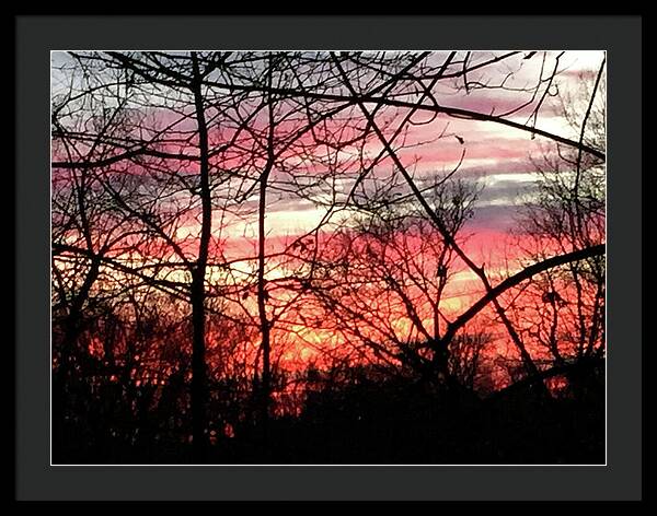 Sunset Through The Trees 2 - Framed Print