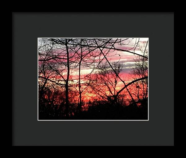 Sunset Through The Trees 2 - Framed Print