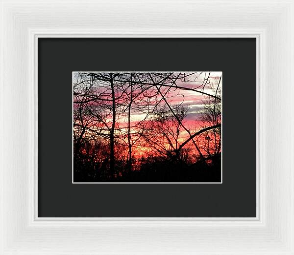 Sunset Through The Trees 2 - Framed Print