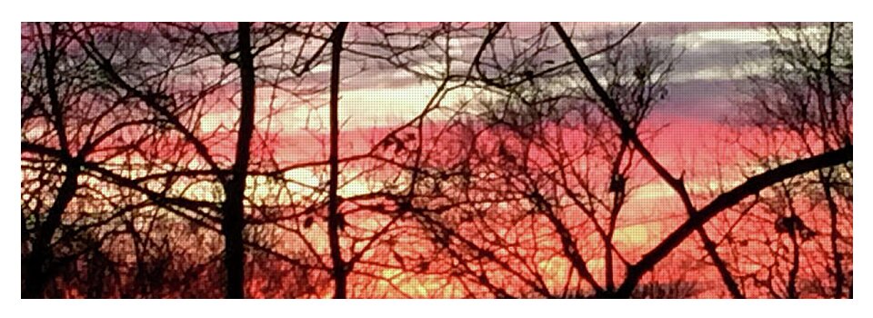 Sunset Through The Trees 2 - Yoga Mat