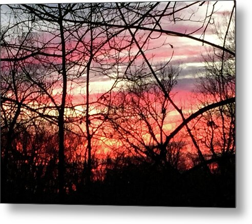 Sunset Through The Trees 2 - Metal Print