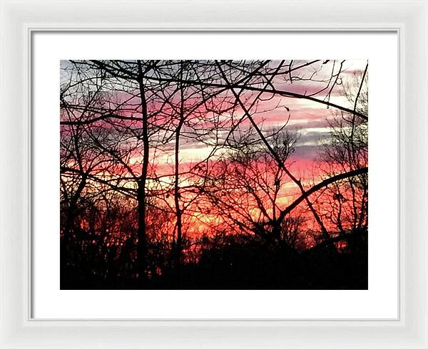 Sunset Through The Trees 2 - Framed Print