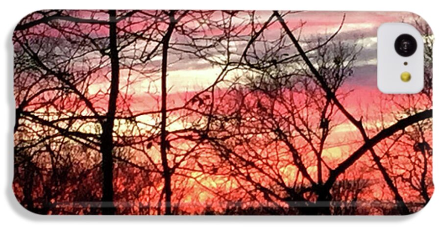 Sunset Through The Trees 2 - Phone Case