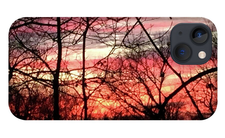 Sunset Through The Trees 2 - Phone Case