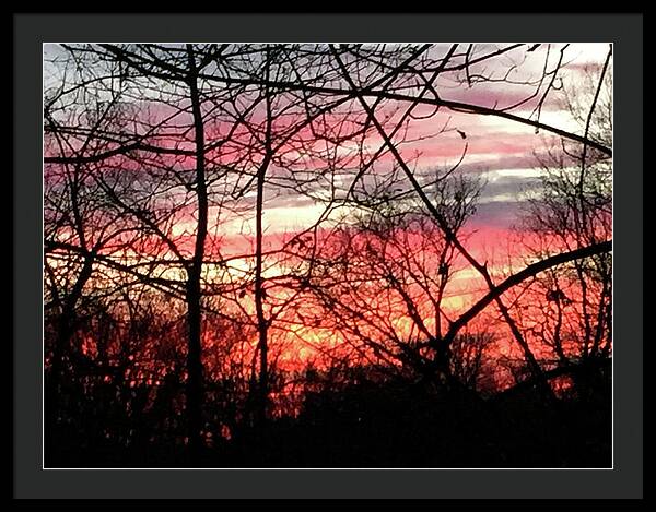 Sunset Through The Trees 2 - Framed Print