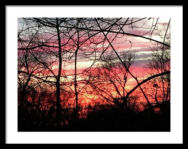 Sunset Through The Trees 2 - Framed Print