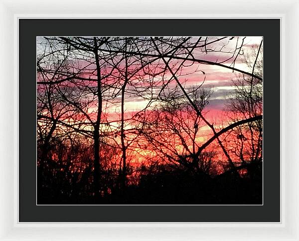 Sunset Through The Trees 2 - Framed Print