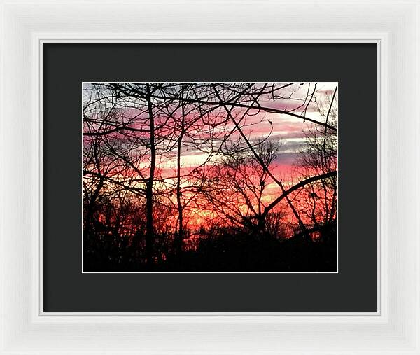 Sunset Through The Trees 2 - Framed Print