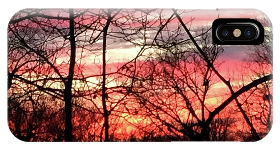 Sunset Through The Trees 2 - Phone Case