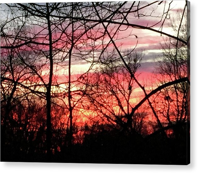 Sunset Through The Trees 2 - Acrylic Print