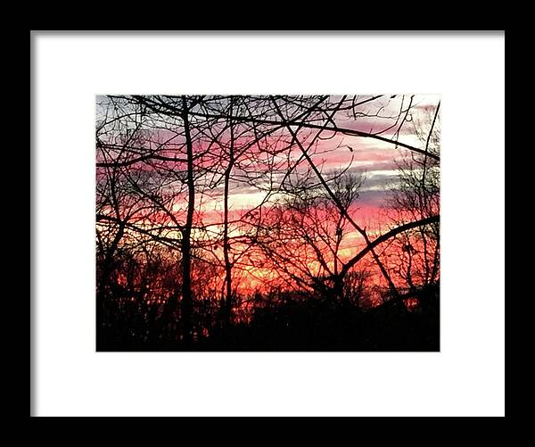 Sunset Through The Trees 2 - Framed Print