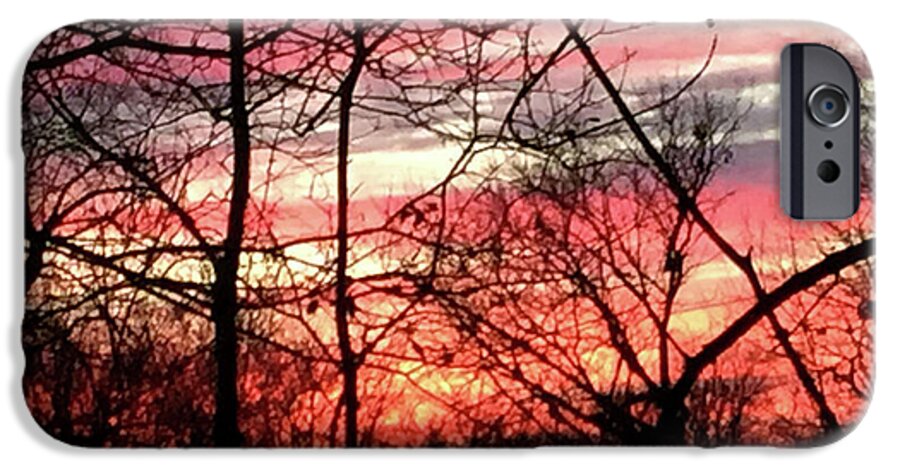 Sunset Through The Trees 2 - Phone Case