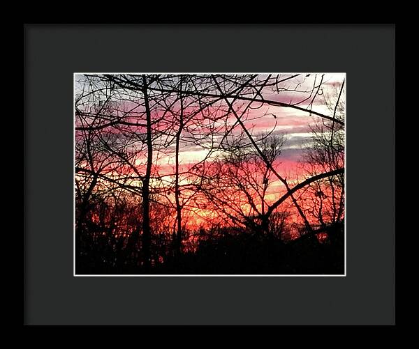 Sunset Through The Trees 2 - Framed Print