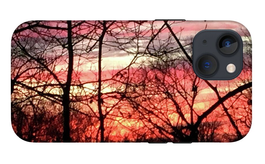 Sunset Through The Trees 2 - Phone Case