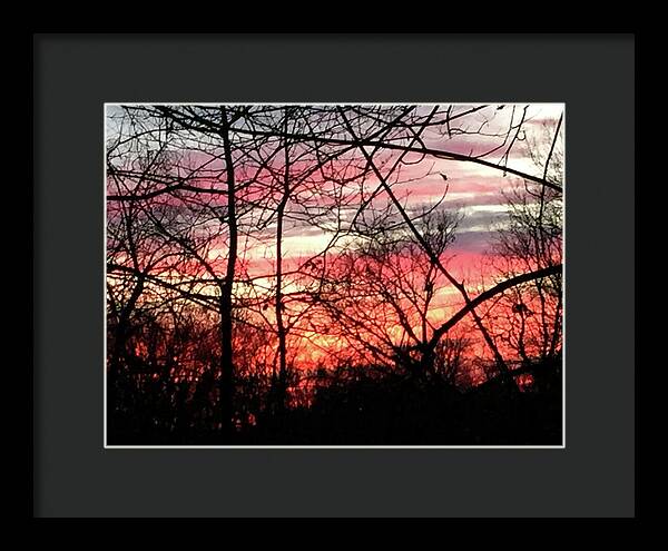 Sunset Through The Trees 2 - Framed Print