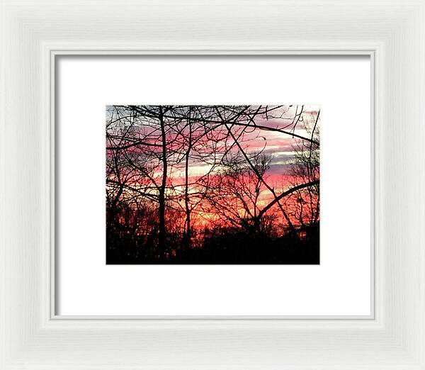 Sunset Through The Trees 2 - Framed Print