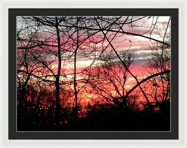 Sunset Through The Trees 2 - Framed Print