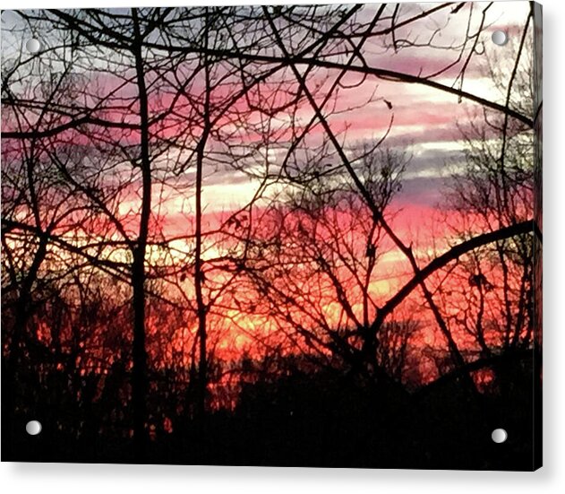 Sunset Through The Trees 2 - Acrylic Print