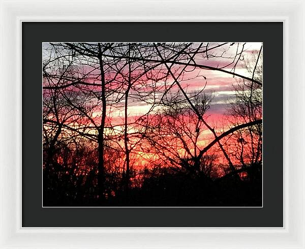 Sunset Through The Trees 2 - Framed Print