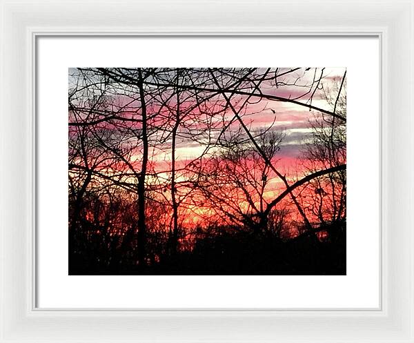 Sunset Through The Trees 2 - Framed Print