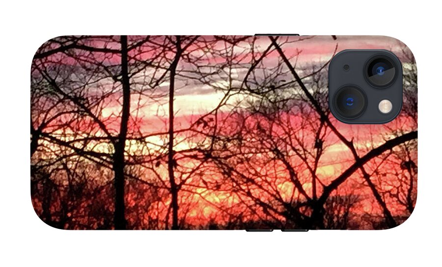 Sunset Through The Trees 2 - Phone Case