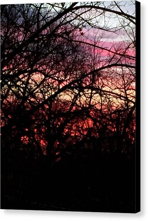 Sunset Through The Trees - Canvas Print