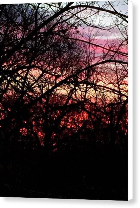 Sunset Through The Trees - Canvas Print