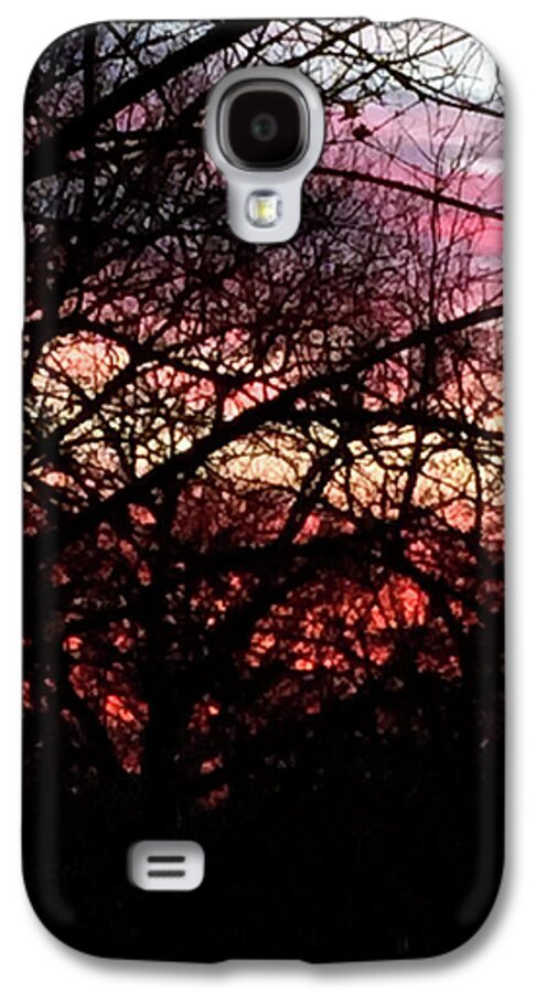 Sunset Through The Trees - Phone Case