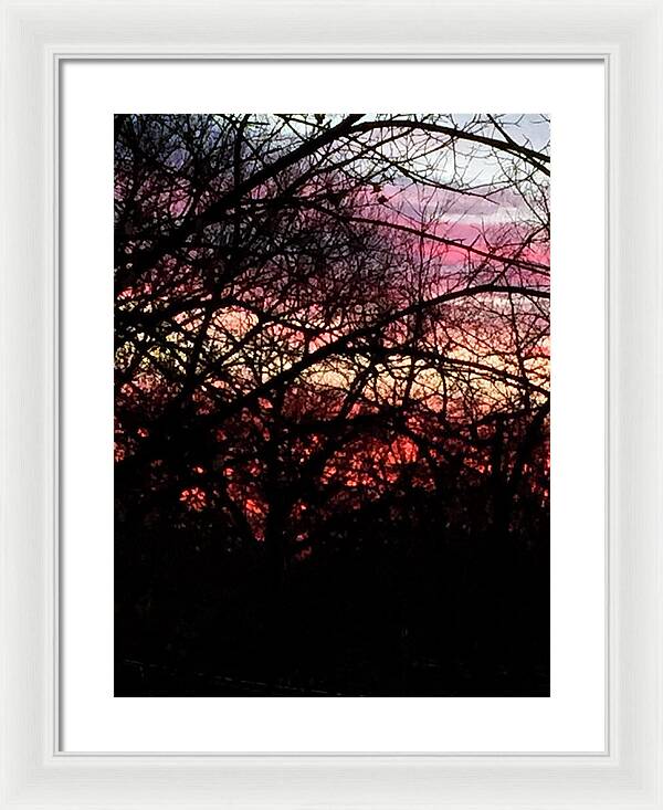 Sunset Through The Trees - Framed Print