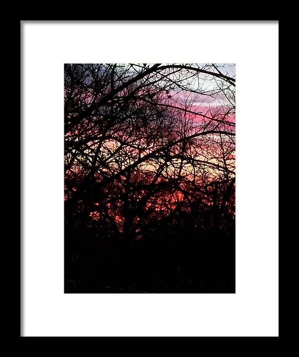 Sunset Through The Trees - Framed Print